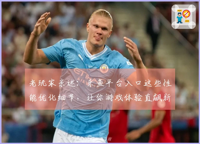 老玩家亲述：乐鱼平台入口这些性能优化细节，让你游戏体验直飙新高度